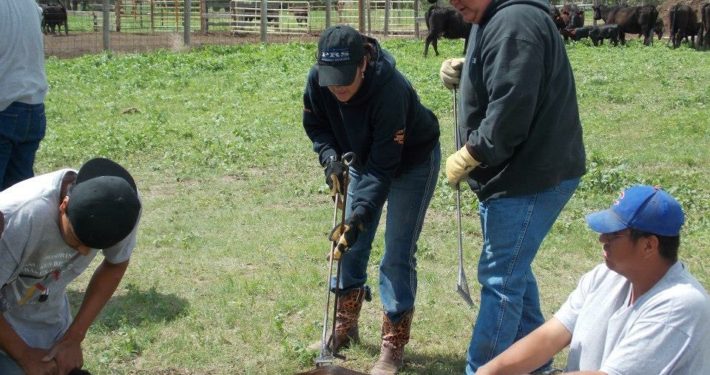 Vicki Hebb at work on her ranch.