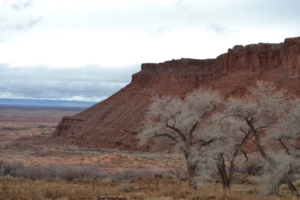 Near Tuba City, Ariz. March 2019.