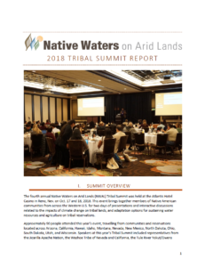 2018 Tribal Summit Report
