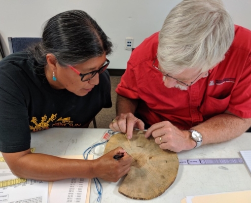 Class participants count tree rings