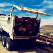 Since March, more than 100 cords of wood have been delivered to three Hopi and Navajo communities. (Photo courtesy of Joe Dirt Excavating)