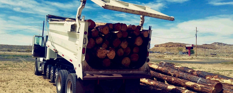 Since March, more than 100 cords of wood have been delivered to three Hopi and Navajo communities. (Photo courtesy of Joe Dirt Excavating)