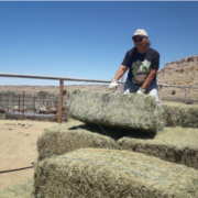 Hay delivery at Hopi Reservation