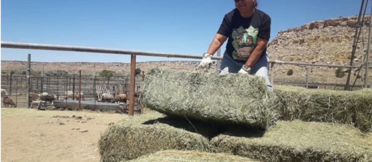 Hay delivery at Hopi Reservation