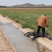 Man standing near irrigation ditch on the Gila River Indian Community in Arizona