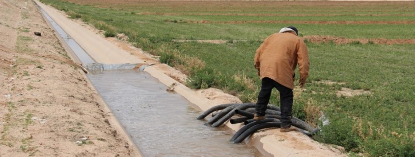 Man standing near irrigation ditch on the Gila River Indian Community in Arizona