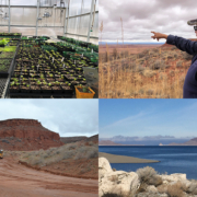 Collage of four photos depicting scenes from Indian Country: A greenhouse, a person pointing, Pyramid Lake, and a school bus on the Navajo Nation