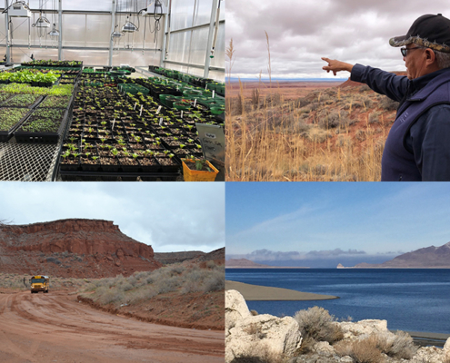 Collage of four photos depicting scenes from Indian Country: A greenhouse, a person pointing, Pyramid Lake, and a school bus on the Navajo Nation