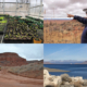 Collage of four photos depicting scenes from Indian Country: A greenhouse, a person pointing, Pyramid Lake, and a school bus on the Navajo Nation