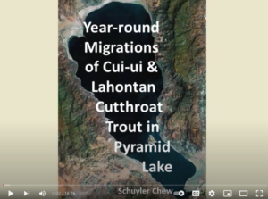 link to video about Cui-ui and LCT migration in Pyramid Lake